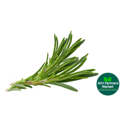 Rosemary